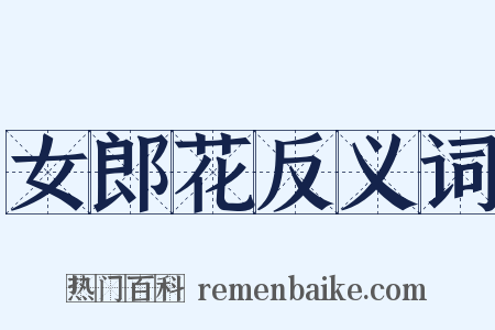 女郎花反义词是什么意思的图片